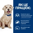 Фото - ветеринарные корма Hill's Prescription Diet w/d Digestive/Weight/Diabetes Management корм для собак с курицей