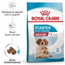 Фото - сухой корм Royal Canin MEDIUM STARTER MOTHER & BABYDOG корм для беременных и кормящих сук и щенков средних пород