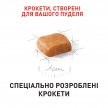 Фото 4 - сухий корм Royal Canin POODLE PUPPY корм для цуценят пуделя до 10 місяців