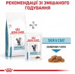 Фото 10 - ветеринарні корми Royal Canin SKIN & COAT сухий лікувальний корм для котів