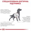 Фото 4 - ветеринарные корма Royal Canin HEPATIC HF16 (ГЕПАТИК) сухой лечебный корм для собак