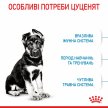 Фото 3 - сухий корм Royal Canin MAXI PUPPY корм для цуценят великих порід від 2 до 15 місяців