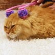 Фото 6 - расчески, щетки CattyMan Cat Massager роликовый массажер для кошек