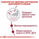 Фото - сухой корм Royal Canin MEDIUM ADULT (СОБАКИ СРЕДНИХ ПОРОД ЭДАЛТ) корм для собак от 12 месяцев