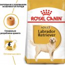 Фото - сухой корм Royal Canin LABRADOR RETRIEVER ADULT (ЛАБРАДОР РЕТРИВЕР ЭДАЛТ) корм для собак от 15 месяцев