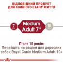 Фото - сухий корм Royal Canin MEDIUM ADULT 7+ (СОБАКИ СЕРЕДНІХ ПОРІД ЕДАЛТ 7+) корм для собак від 7 років