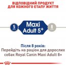 Фото - сухий корм Royal Canin MAXI ADULT 5+ (СОБАКИ ВЕЛИКИХ ПОРІД ЕДАЛТ 5+) корм для собак від 5 років