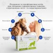Фото 4 - от блох и клещей Modes Квадромидас-C таблетки от блох, клещей и гельминтов для кошек