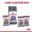 Фото - сухой корм Royal Canin APPETITE CONTROL (АППЕТИТ КОНТРОЛЬ) корм для стерилизованных кошек от 1 до 7 лет