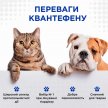 Фото 5 - от глистов Modes Kvantefen антигельминтные таблетки для кошек и собак ВКУС ГОВЯДИНЫ