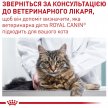 Фото 8 - сухий корм Royal Canin Neutered Satiety Balance корм-дієта для профілактики сечокам'яної хвороби у стерилізованих кішок та котів до 7 років
