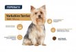 Фото - сухой корм Advance YORKSHIRE TERRIER корм для йоркширских терьеров (с курицей и рисом)