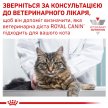 Фото 9 - ветеринарні корми Royal Canin SENSITIVITY CONTROL SC27 (СЕНСИТИВІТИ КОНТРОЛ) сухий лікувальний корм для котів від 1 року