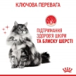 Фото - влажный корм (консервы) Royal Canin HAIR & SKIN Care in GRAVY корм для кошек