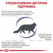 Фото - сухий корм Royal Canin MATURE CONSULT BALANCE ветеринарна дієта для котів та кішок старше 7 років без видимих ознак старіння