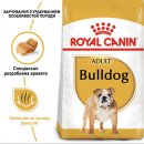 Фото - сухий корм Royal Canin BULLDOG ADULT (АНГЛІЙСЬКИЙ БУЛЬДОГ ЕДАЛТ) корм для собак від 12 місяців