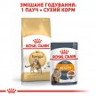 Фото - сухой корм Royal Canin BENGAL ADULT (БЕНГАЛ ЭДАЛТ) корм для котов от 1 года