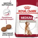 Фото - сухий корм Royal Canin MEDIUM ADULT 7+ (СОБАКИ СЕРЕДНІХ ПОРІД ЕДАЛТ 7+) корм для собак від 7 років