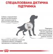 Фото - ветеринарные корма Royal Canin HEPATIC HF16 (ГЕПАТИК) сухой лечебный корм для собак