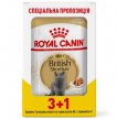 Фото - вологий корм (консерви) Royal Canin BRITISH SHORTHAIR ADULT вологий корм для котів породи британська короткошерста