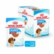 Фото 2 - вологий корм (консерви) Royal Canin MEDIUM PUPPY вологий корм для цуценят середніх порід від 2 до 12 місяців
