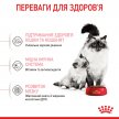 Фото 4 - сухий корм Royal Canin Mother & Babycat (БЕБІКЕТ) сухий корм для кошенят 1-4 місяці, вагітних та лактуючих