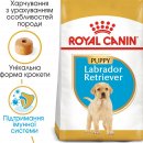 Фото - сухой корм Royal Canin LABRADOR RETRIEVER PUPPY (ЛАБРАДОР РЕТРИВЕР ПАППИ) корм для щенков до 15 месяцев