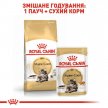 Фото - влажный корм (консервы) Royal Canin MAINE COON ADULT влажный корм для кошек породы мей-кун