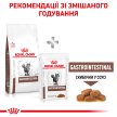 Фото - ветеринарные корма Royal Canin GASTRO INTESTINAL GI32 (ГАСТРО ИНТЕСТИНАЛ) сухой лечебный корм для кошек от 1 года