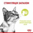 Фото - влажный корм (консервы) Royal Canin SENSORY SMELL JELLY консервы для кошек привередливых к аромату