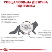 Фото 3 - ветеринарные корма Royal Canin GASTROINTESTINAL FIBRE RESPONSE сухой лечебный корм для кошек от 1 года