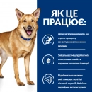 Фото - ветеринарні корми Hill's Prescription Diet Digestive Care корм для собак з куркою