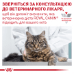 Фото 2 - влажный корм (консервы) Royal Canin GASTROINTESTINAL FIBRE RESPONSE лечебный влажный корм для кошек при расстройствах пищеварения