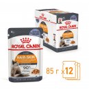 Фото - вологий корм (консерви) Royal Canin HAIR & SKIN Care in JELLY корм для котів