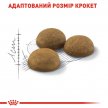 Фото - сухой корм Royal Canin INDOOR LONG HAIR 35 (ИНДУР ЛОНГ ДЛЯ ДЛИННОШЕРСТНЫХ) сухой корм для кошек до 7 лет