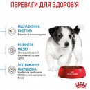 Фото - сухий корм Royal Canin MINI PUPPY корм для цуценят дрібних порід від 2 до 10 місяців