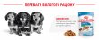 Фото 12 - вологий корм (консерви) Royal Canin MINI PUPPY вологий корм для цуценят дрібних порід від 2 до 10 місяців