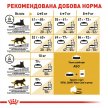 Фото - сухий корм Royal Canin MAINE COON (МЕЙН-КУН) корм для кішок від 1 року