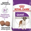 Фото - сухой корм Royal Canin GIANT ADULT (СОБАКИ ГИГАНТСКИХ ПОРОД ЭДАЛТ) корм для собак от 18 месяцев