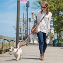 Фото - амуніція Kurgo Quantum 6-in-1 Dog Leash повідець перестібка для собак, чорний