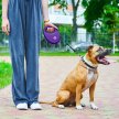 Фото 4 - рулетки WAUDOG R-leash поводок рулетка с контейнером для пакетов, светоотражающая лента, фиолетовый