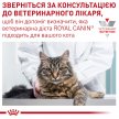 Фото 8 - ветеринарные корма Royal Canin URINARY S/O лечебные консервы для кошек при заболеваниях мочевыводительной системы