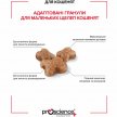 Фото 5 - сухой корм ProScience Healthy Growth Kitten Lamb сухой корм для котят ЯГНЕНОК
