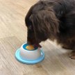 Фото 4 - миски, поилки, фонтаны DoggyMan Lick Ball миска для собак для жидких лакомств, жидкого корма, пюре
