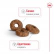 Фото 2 - сухой корм Royal Canin MINI AGEING 12+ (СОБАКИ МЕЛКИХ ПОРОД ЭЙДЖИН 12+) корм для собак от 12 лет