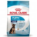 Фото - сухой корм Royal Canin MAXI PUPPY корм для щенков крупных пород от 2 до 15 месяцев