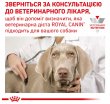 Фото - ветеринарные корма Royal Canin GASTRO INTESTINAL лечебный влажный корм для собак при нарушении пищеварения