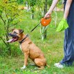 Фото 9 - рулетки WAUDOG R-leash поводок рулетка с контейнером для пакетов, светоотражающая лента, оранжевый