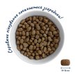 Фото 5 - сухой корм Home Food (Хоум Фуд) Dog Adult Medium-Maxi Lamb with Rice корм для активных собак и юниоров средних и крупных пород ЯГНЕНОК И РИС