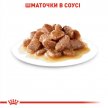 Фото - влажный корм (консервы) Royal Canin STERILISED in GRAVY консервированный корм для стерилизованных кошек